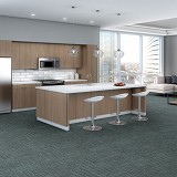 Philadelphia Commercial Carpet Tile
Raw Beauty 18 x 36 Tile